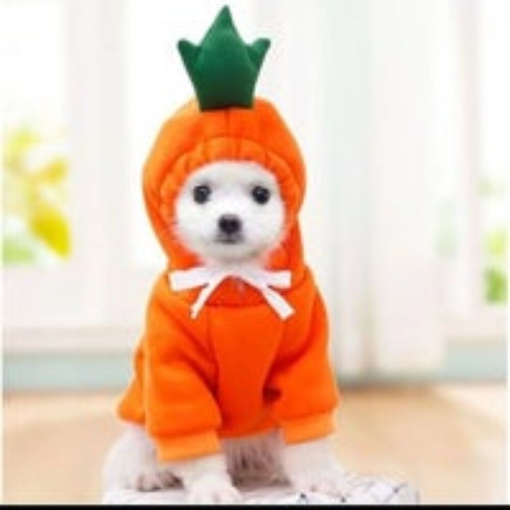 Dogs hoodies Warm Costume Coat